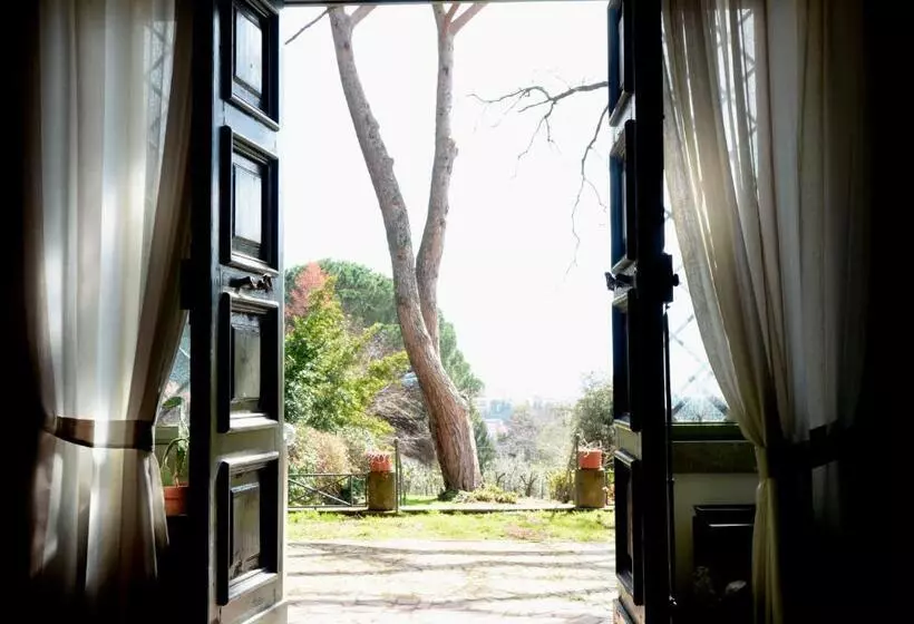 Vigna Dell Agrifoglio   Bed And Breakfast