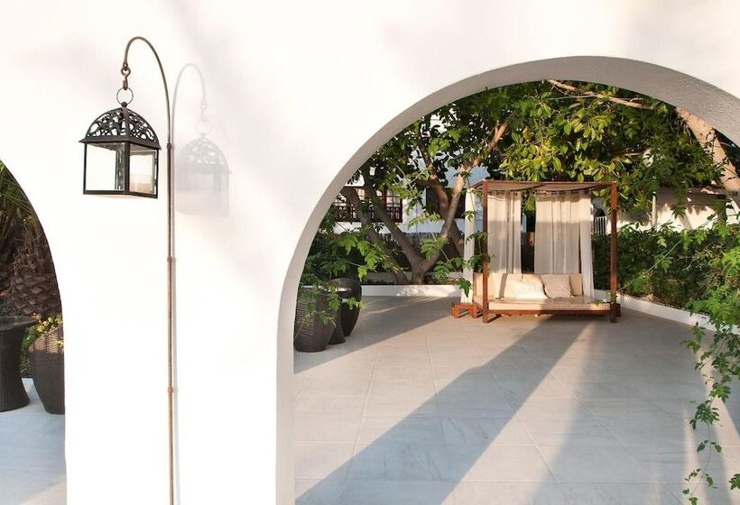 Apartamentos Sunset Oasis Ibiza   Only Adults