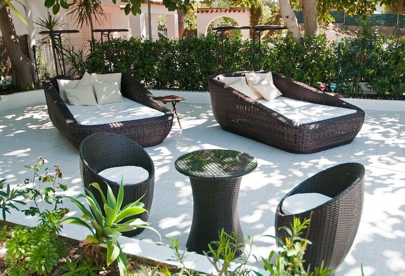 Apartamentos Sunset Oasis Ibiza   Only Adults