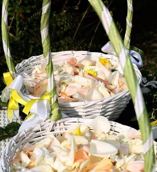 Отель Albergo Castiglione Langhe