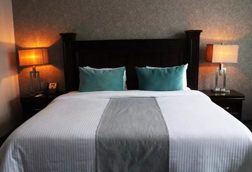 Gran Hotel Concordia San Luis Potosi