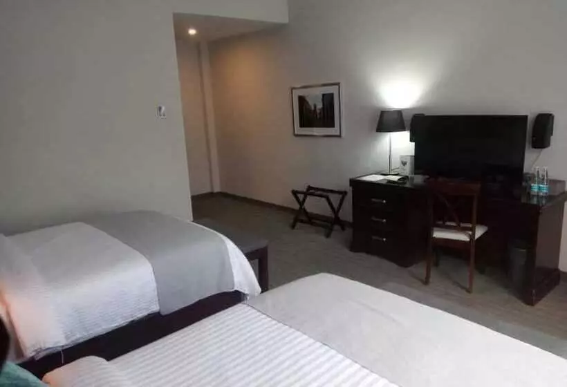 Gran Hotel Concordia San Luis Potosi