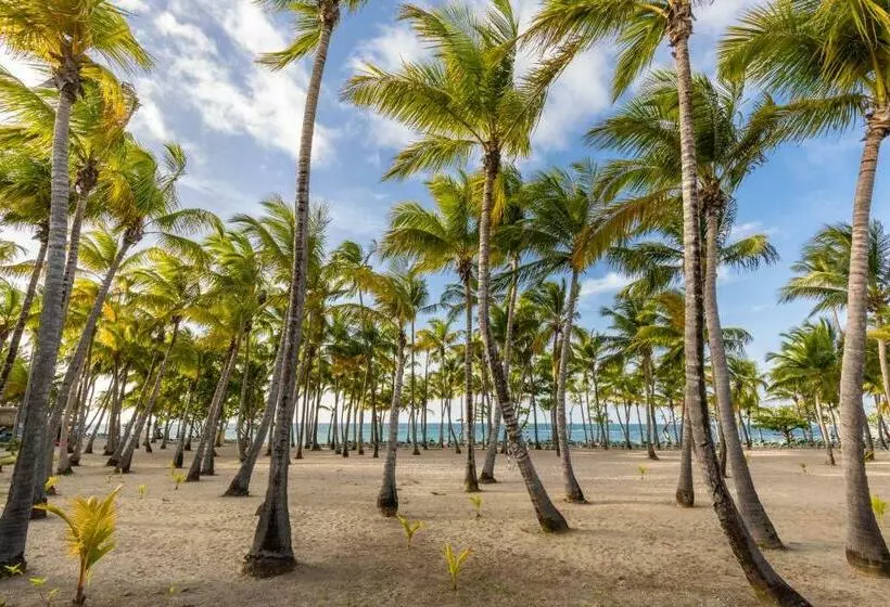 リゾートホテル Playabachata