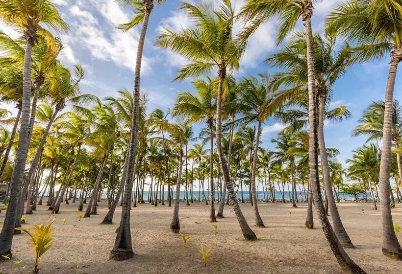 リゾートホテル Playabachata