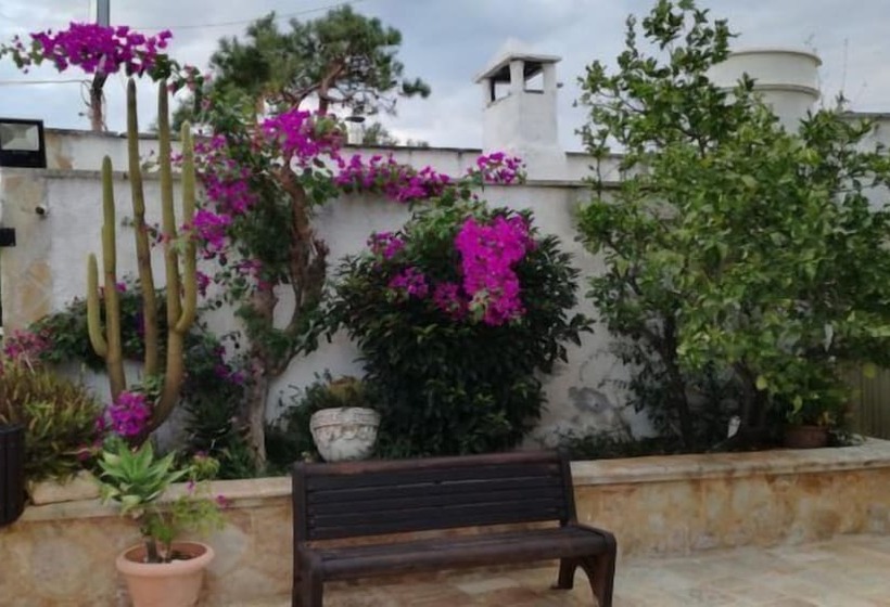 Bed and Breakfast Masseria Nzeta