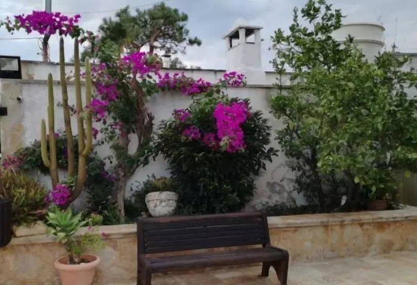 تختخواب و صبحانه Masseria Nzeta