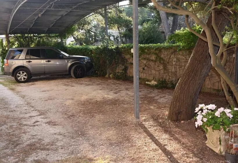 Aamiaismajoitus (B&B) Porto Vecchio