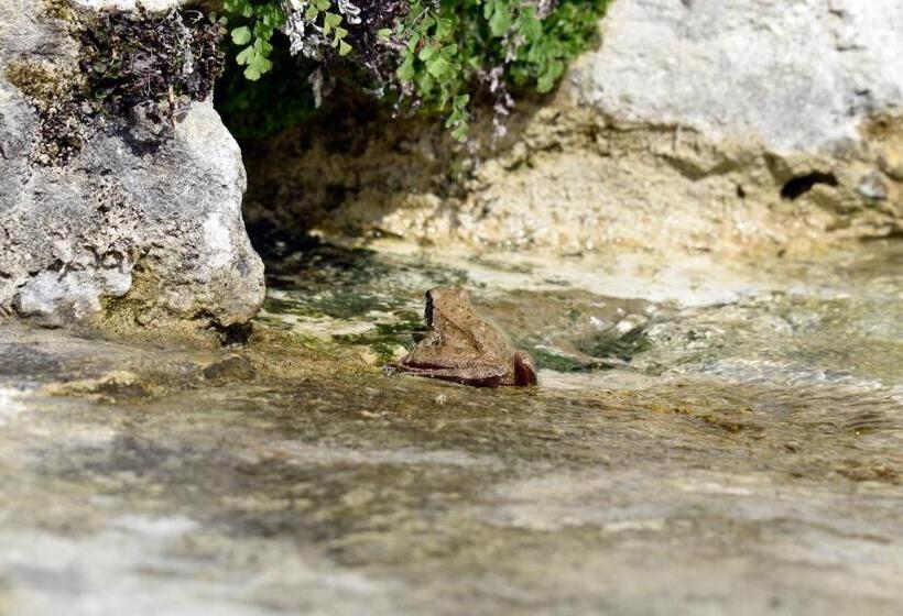 צימר Tenuta Santa Caterina