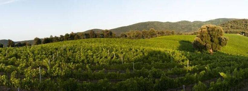 田舎風ホテル Agriturismo Villa Borgeri