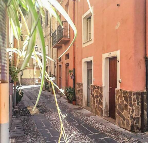 بنسيون Casa Graci