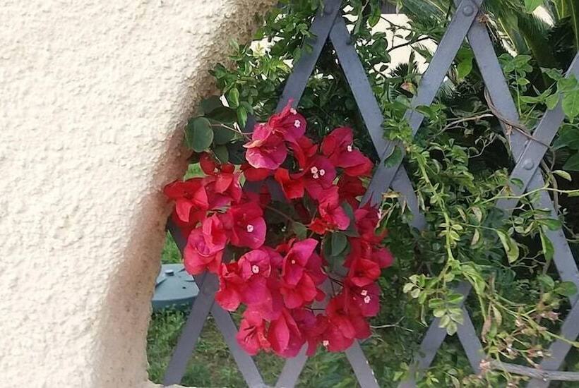 住宿加早餐 Villa Marilena