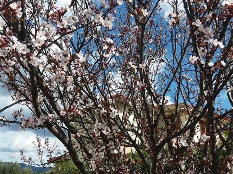 住宿加早餐 Villa Marilena