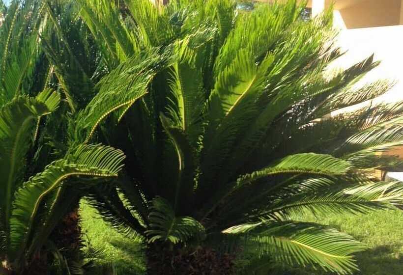 住宿加早餐 Villa Marilena