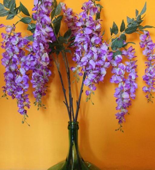 호텔 Albergo Del Lago