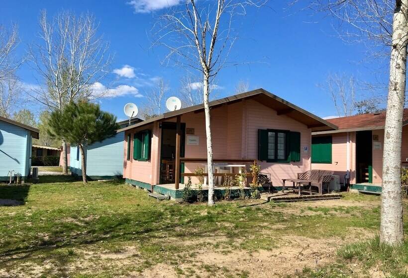 هتل Greenchalets Toskana Viareggio Campsite