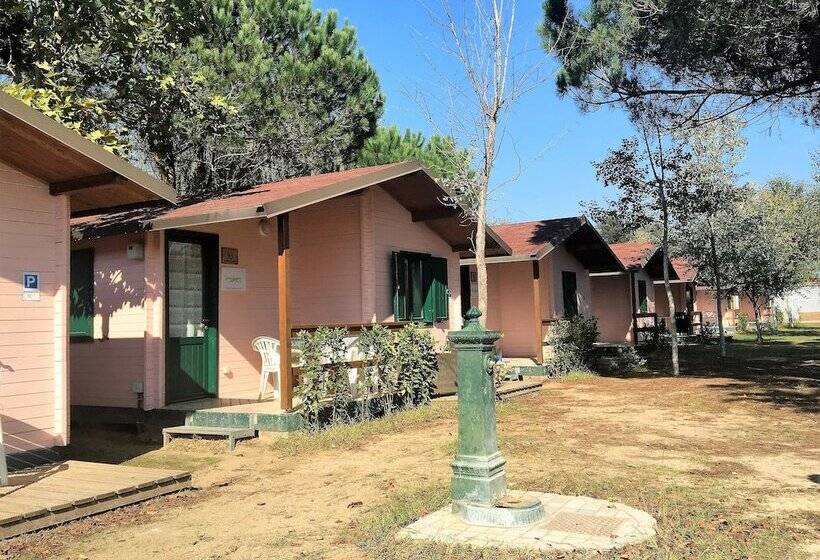 هتل Greenchalets Toskana Viareggio Campsite