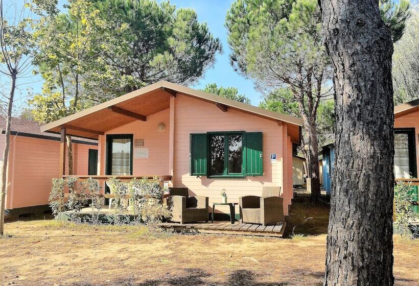 هتل Greenchalets Toskana Viareggio Campsite