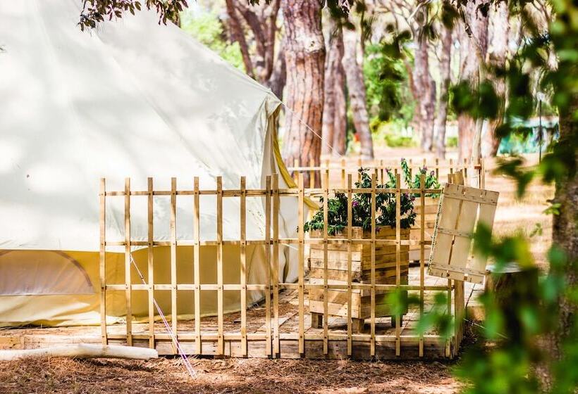 בית מלון כפרי Pigna Felice   Glamping