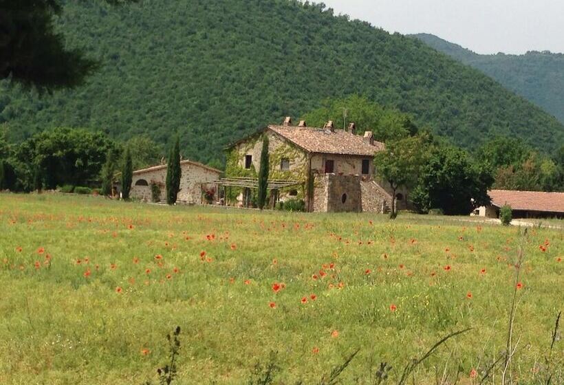 교외 호텔 Agriturismo Cardito