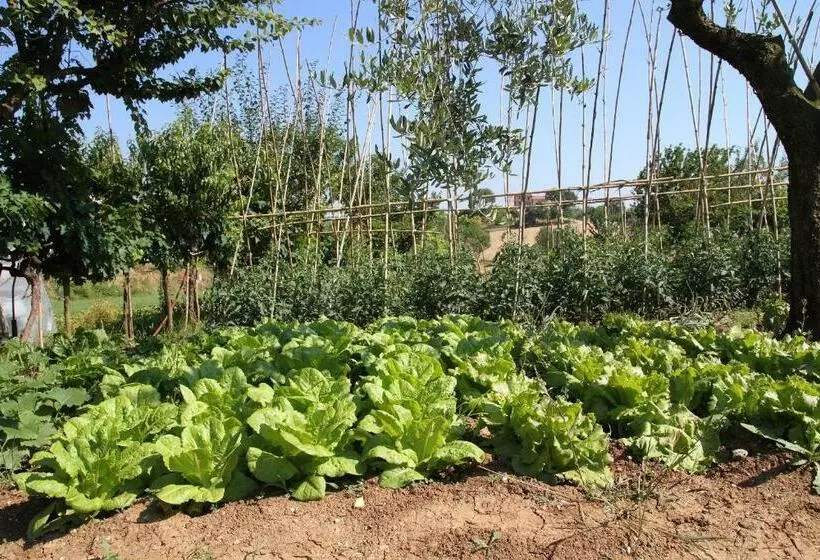田舎風ホテル Azienda Agrituristica Cluana