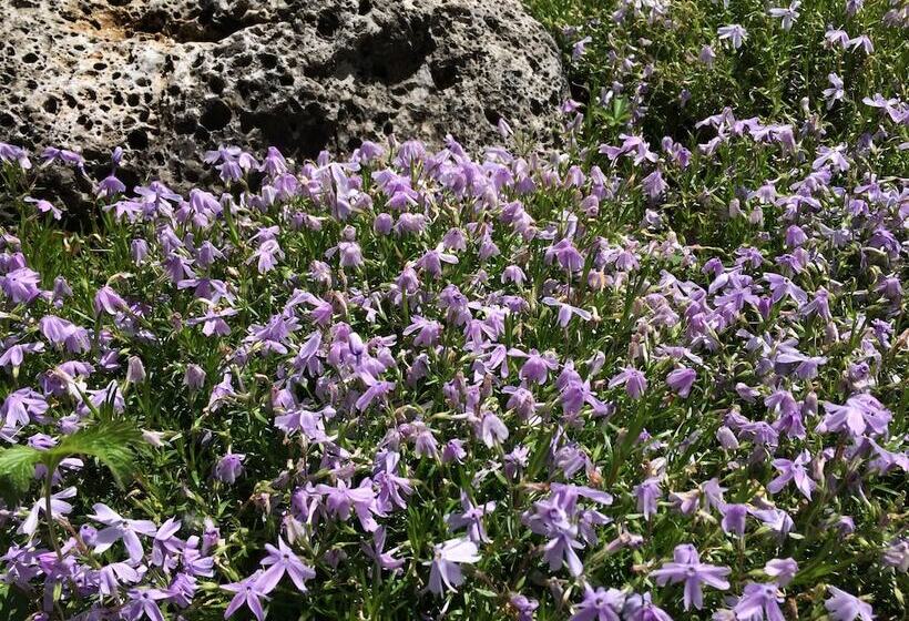 펜션 Affittacamere Il Melograno