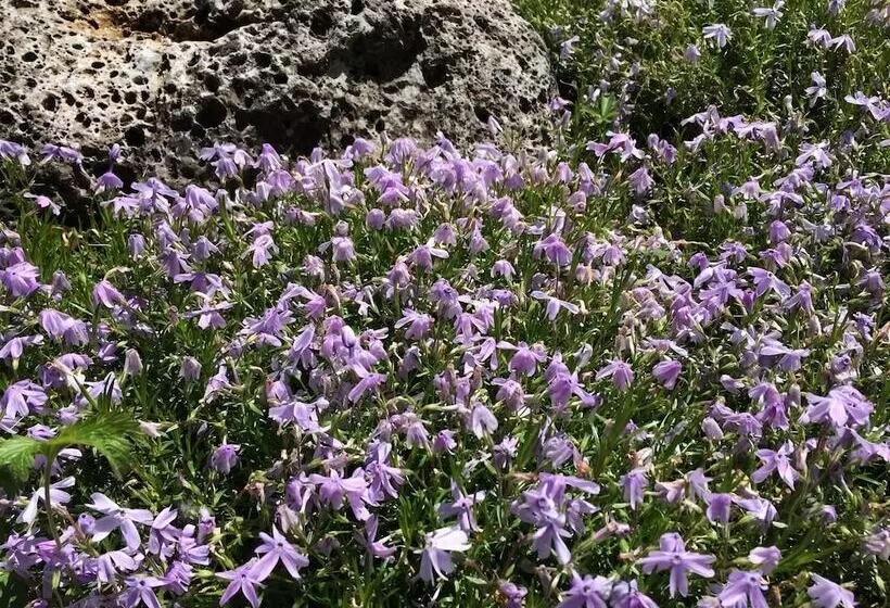Majatalo Affittacamere Il Melograno