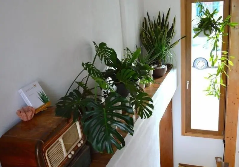 Sempreverde Atelier B&b
