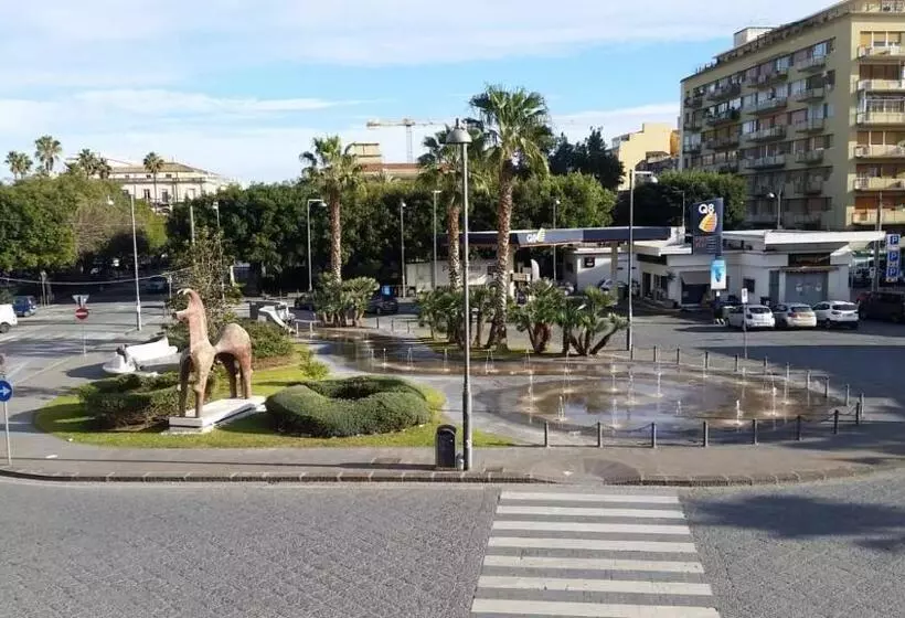 ベッドアンドブレックファースト Gymnasium