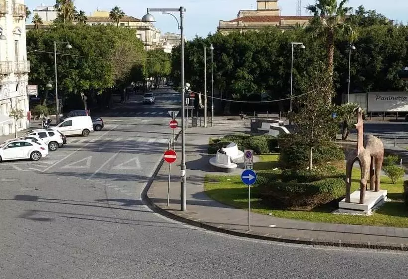 ベッドアンドブレックファースト Gymnasium