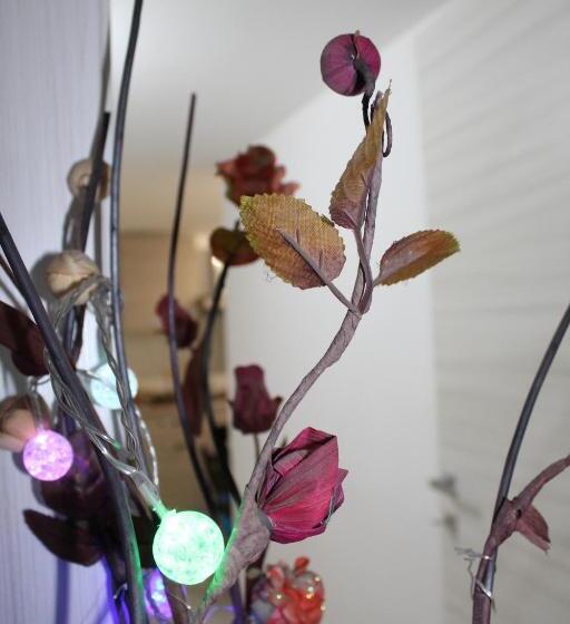 Nocleg ze śniadaniem Gymnasium