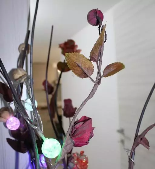 ベッドアンドブレックファースト Gymnasium