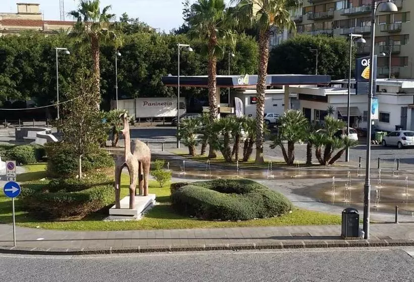 ベッドアンドブレックファースト Gymnasium