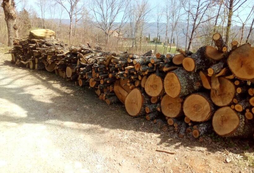 田舎風ホテル Agriturismo Castagneto Picci