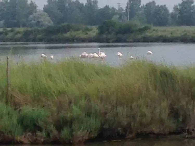 田舎風ホテル Quietovivere