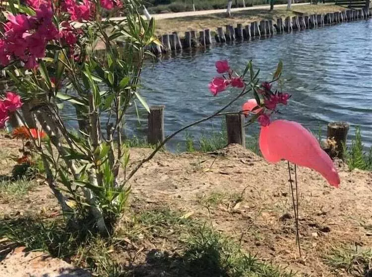 田舎風ホテル Quietovivere