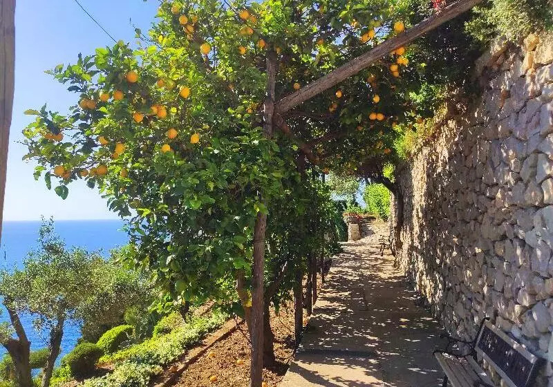 پانسیون Casa Orrico  Blue Grotto