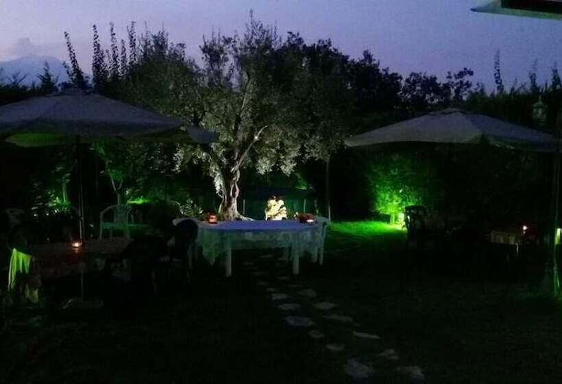 פנסיון Residence Belvedere