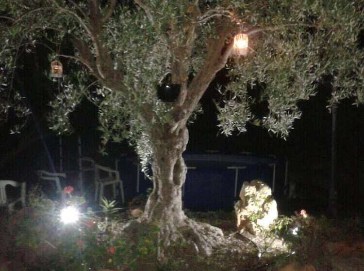 פנסיון Residence Belvedere