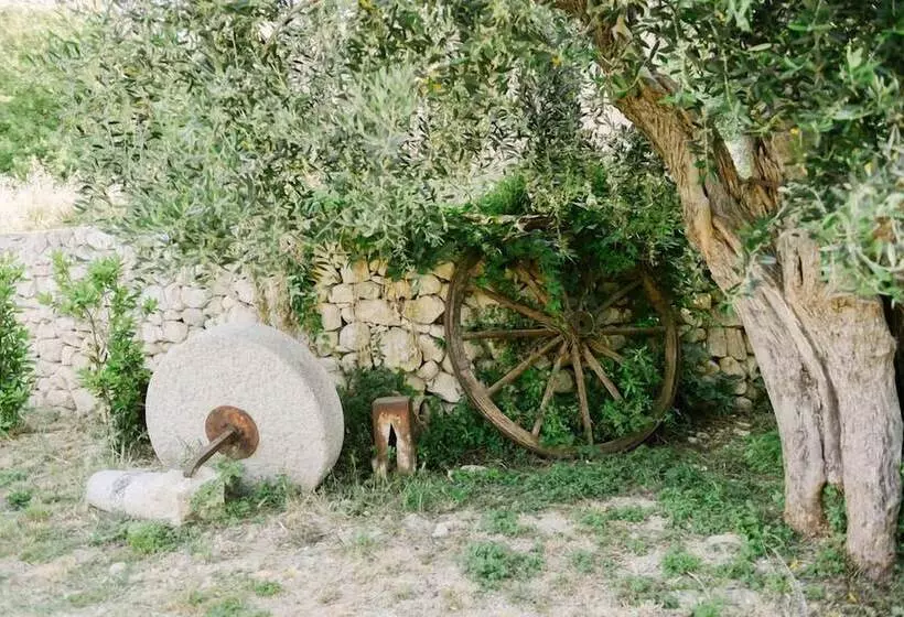 B&b Barone Gambadoro