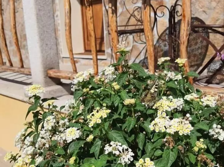 Aamiaismajoitus (B&B) Al Pez Exclusive Rooms