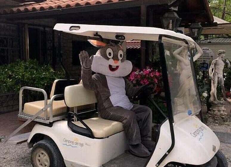 هتل Camping Dei Tigli