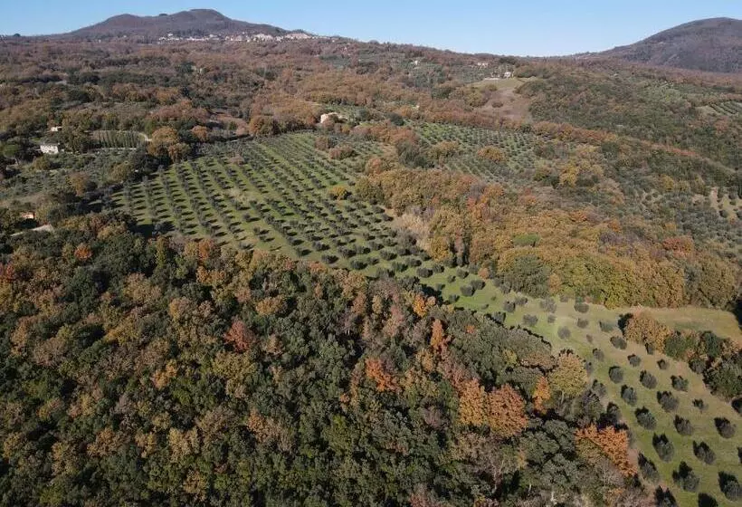 Maaseutuhotelli Agriturismo Campo Al Crognolo