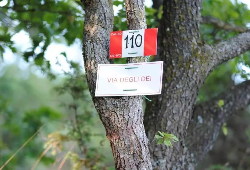 Maaseutuhotelli Agriturismo Piccola Raieda
