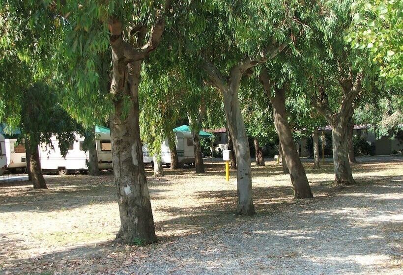בית מלון כפרי Villaggio Camping Calypso