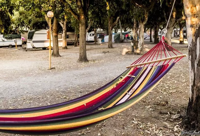 ホテル Villaggio Camping Calypso