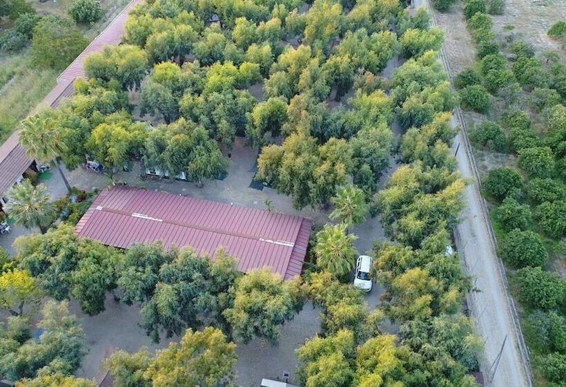 בית מלון כפרי Villaggio Camping Calypso