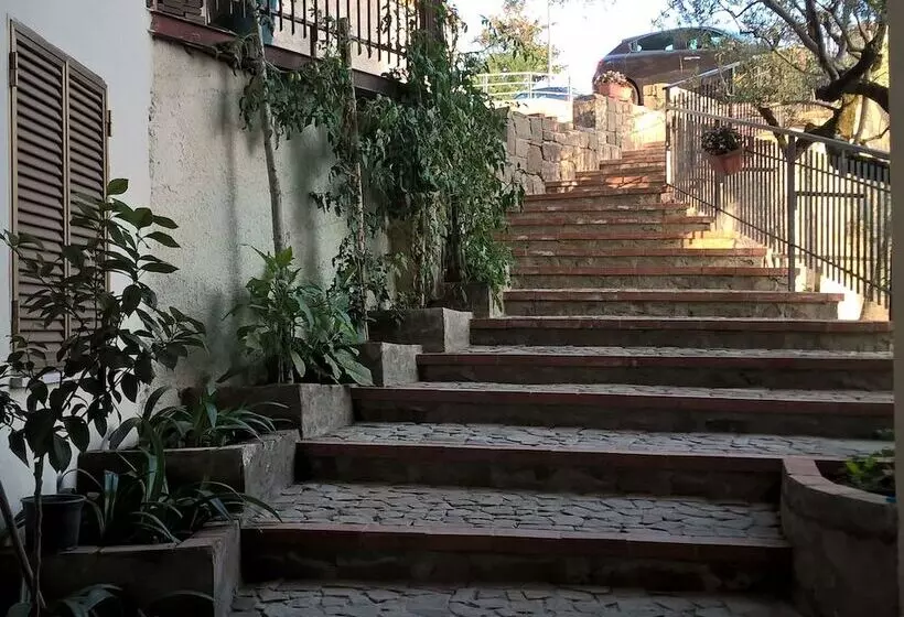 Aamiaismajoitus (B&B) Alloggiando Da Carmela