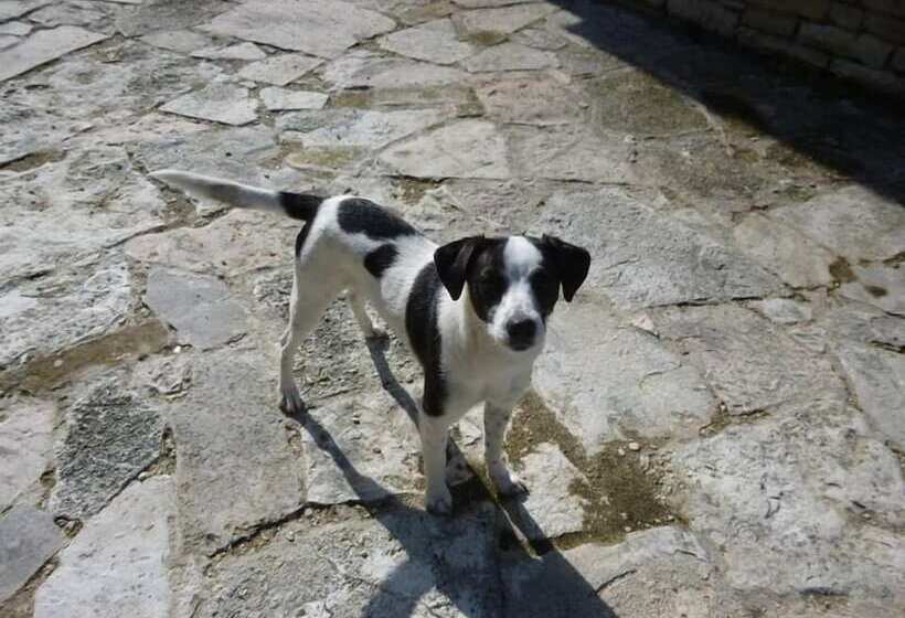 בית מלון כפרי Agriturismo Il Colcello