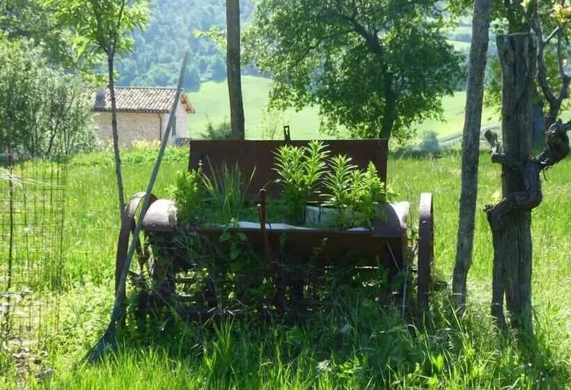 田舎風ホテル Agriturismo Il Colcello