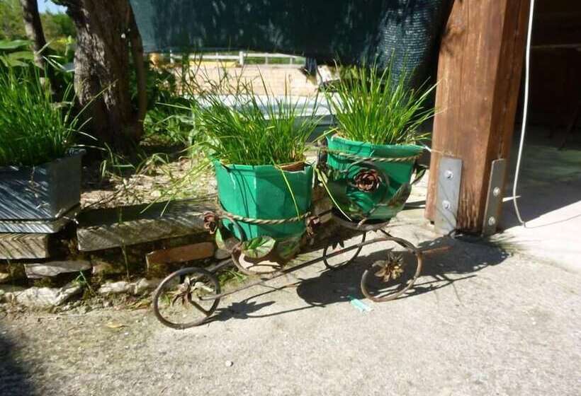 בית מלון כפרי Agriturismo Il Colcello